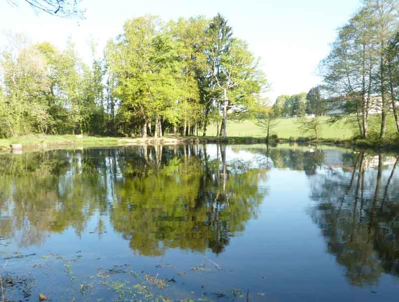 Forêt des Vaseix sentier la promenade de Chamberet, Verneuil-sur-Vienne - photo 3