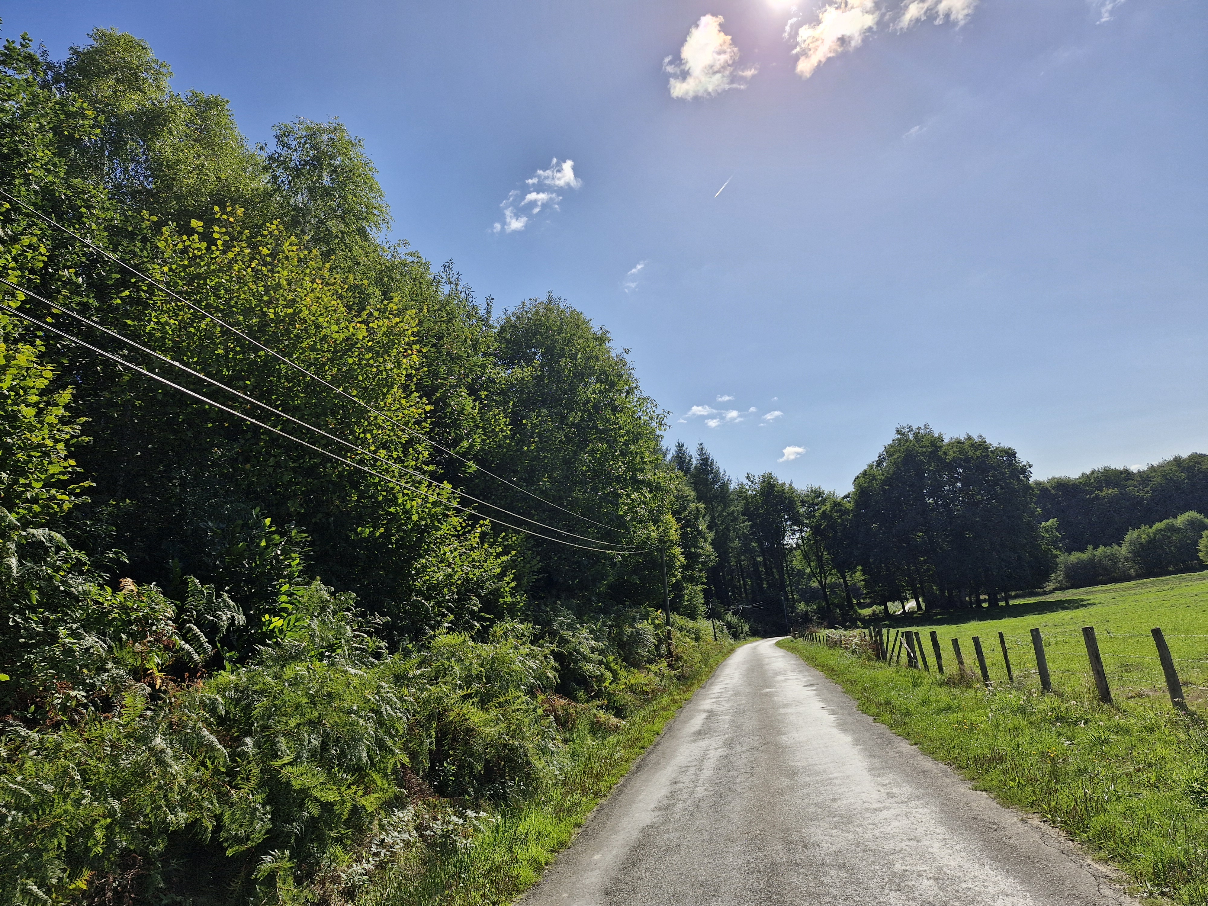Forêt de Montard - photo 2