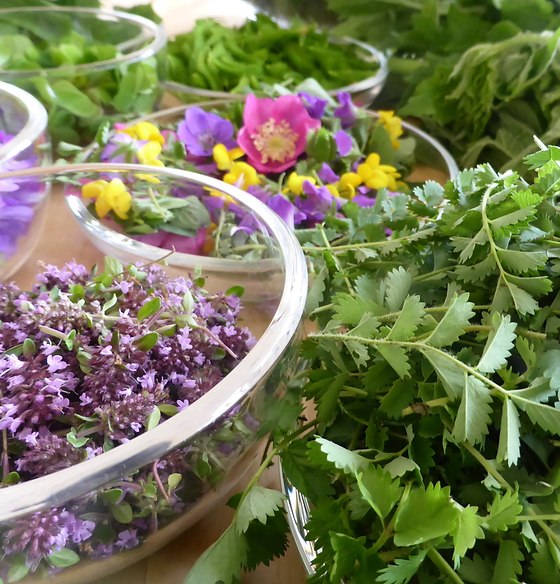 Forêt Jardin du Petit Chavanat