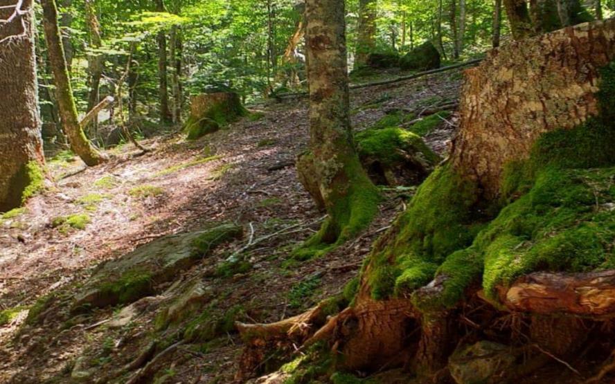 Image de présentation du lieu