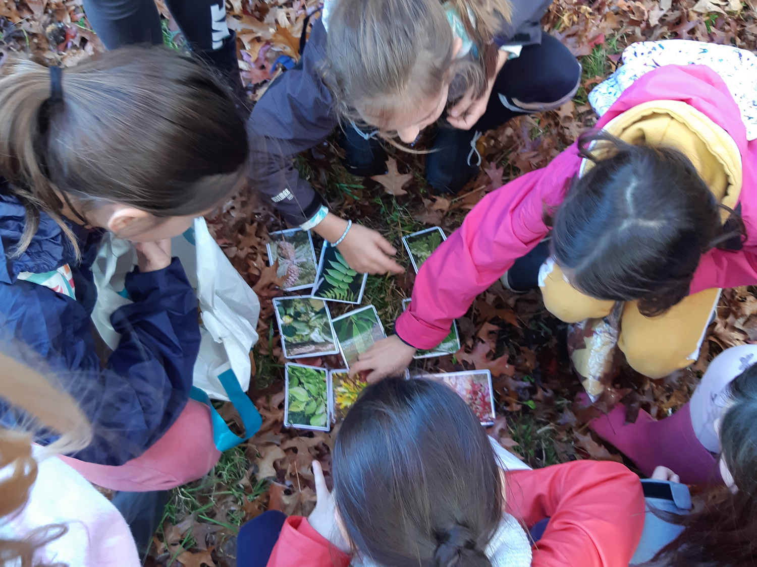 La forêt vue par les enfants