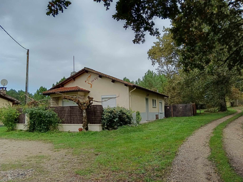 À la lisière du bois