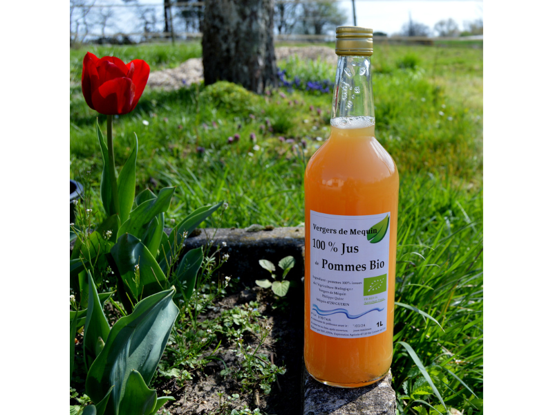 Philippe QUIOC - Les Vergers de Méquin - photo 4