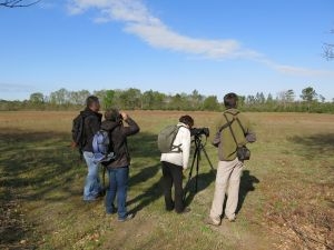 Grue cendrée et gastronomie landaise, Bourideys - photo 2