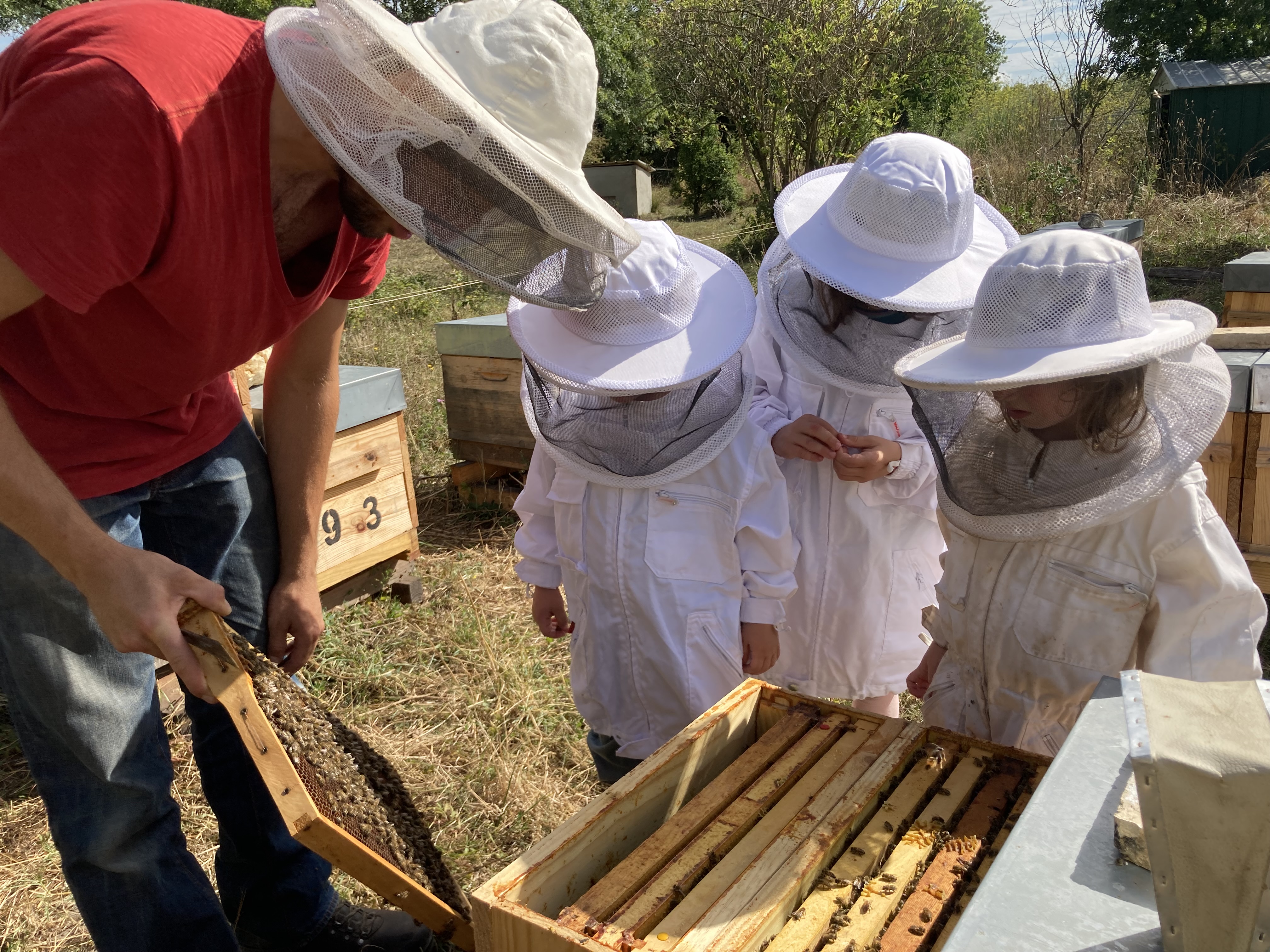 Visite guidée d'un rucher avec Mella Facimus - photo 2