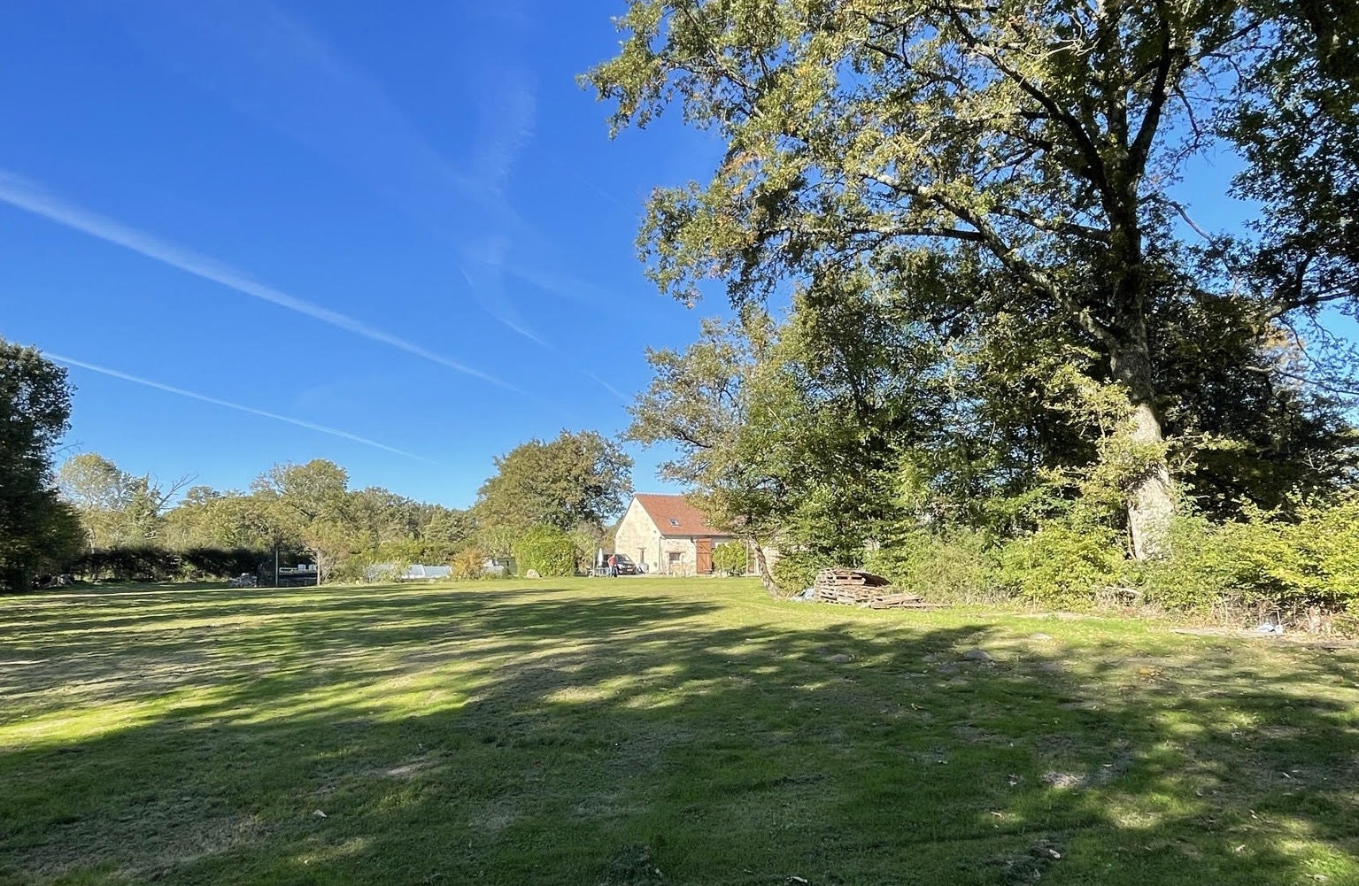 Laisser faire Lussac