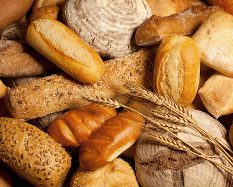 Boulangerie Boucheres, Hagetmau - photo 4