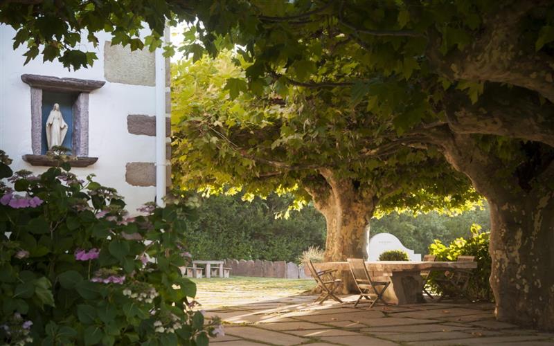 Domaine Ihartze Artea (au milieu les fougères)