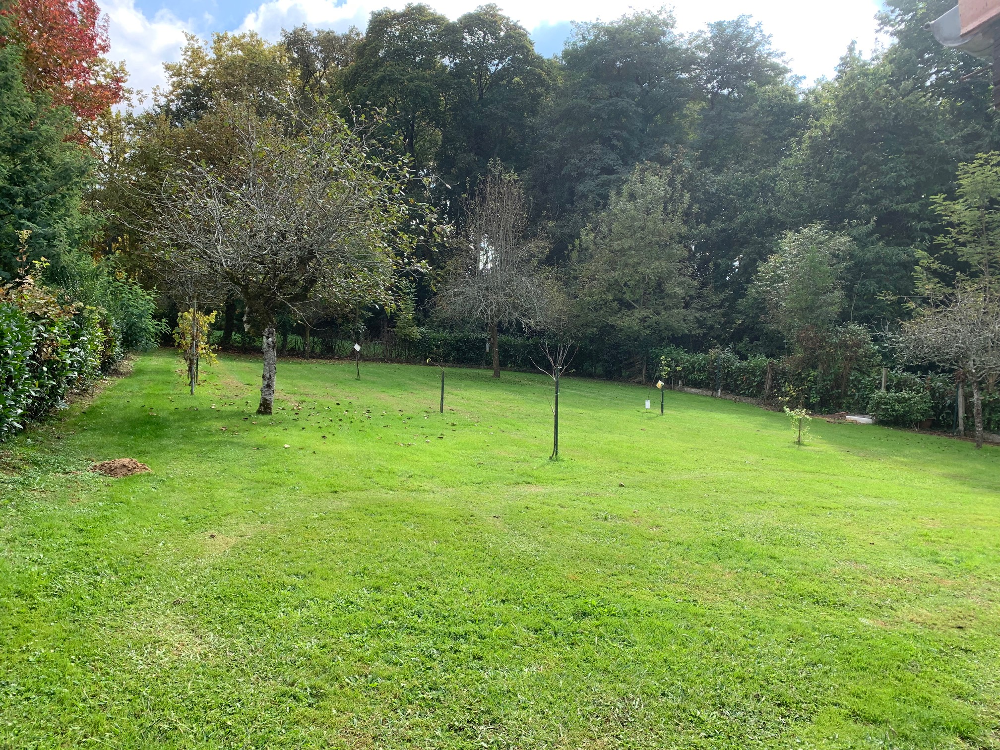 Chalet Barthelemy, Laurède - photo 9