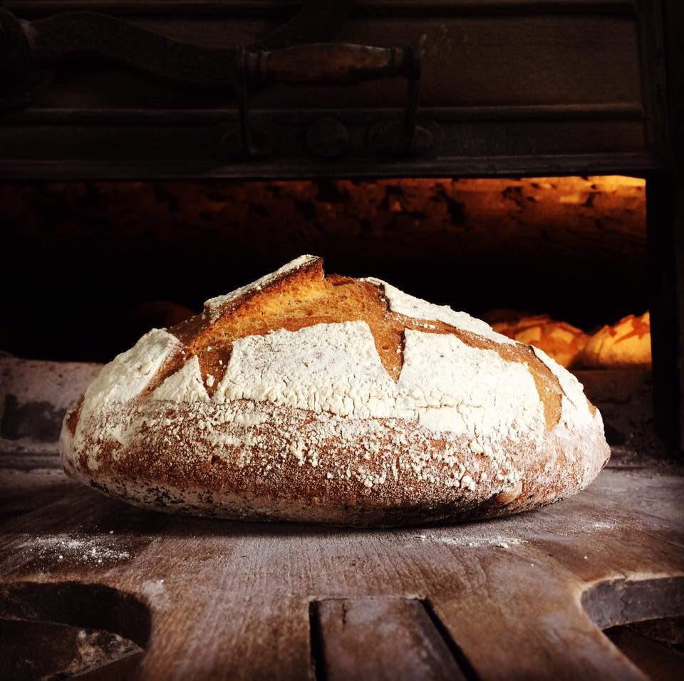 Fournil du Malromé, Saint-Jean-de-Duras - photo 6