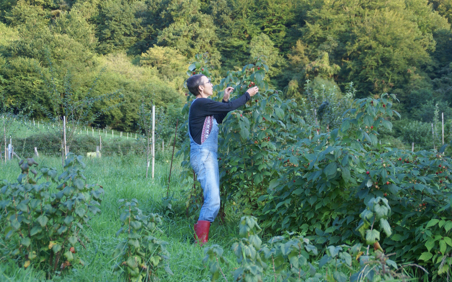 Ferme Urrutigaraia "Ici Même"