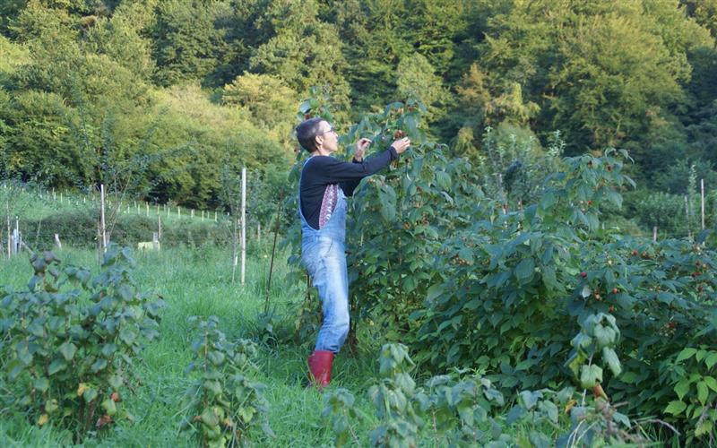 Ferme Urrutigaraia 