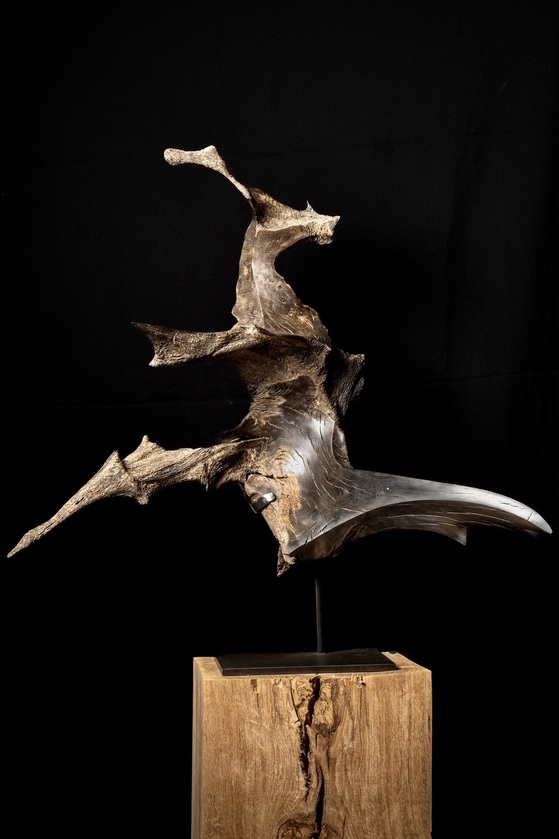 Franck Collin Sculpteur Photographe - photo 2