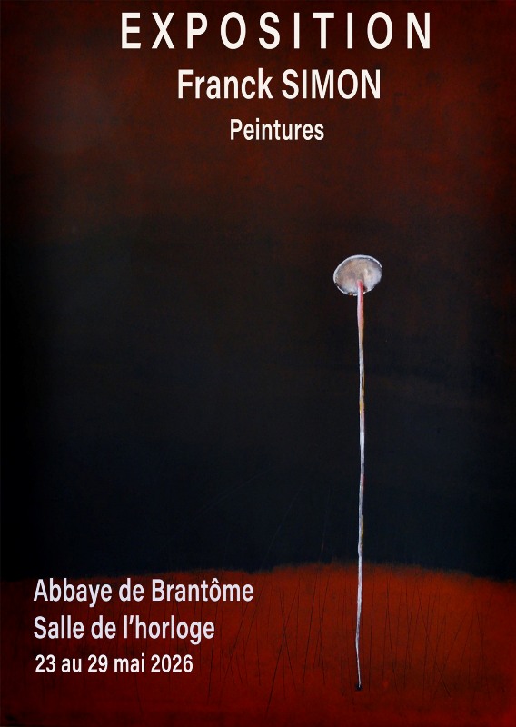 Exposition : Franck Simon