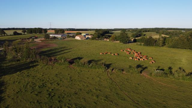 La Limousine Marnaysienne