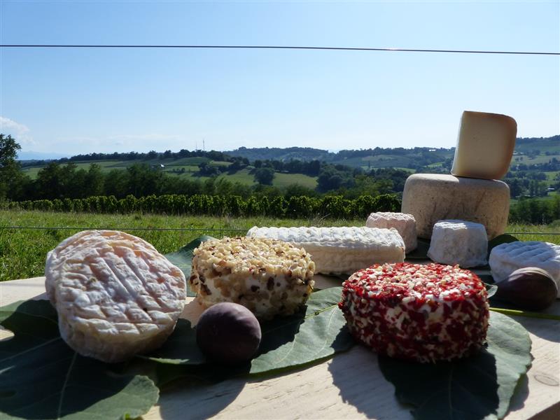 Les biquettes de Bellevue