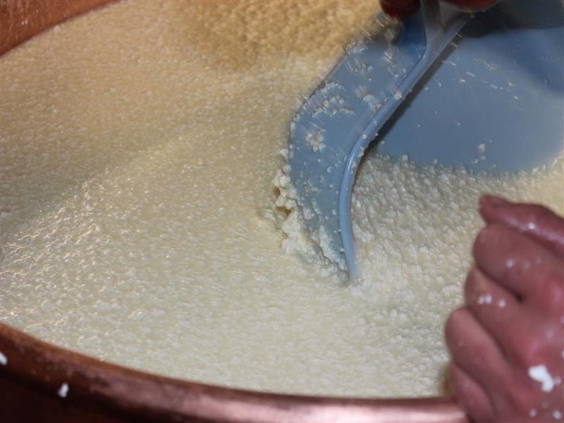 Gaec Etchamendy - Producteur de fromage