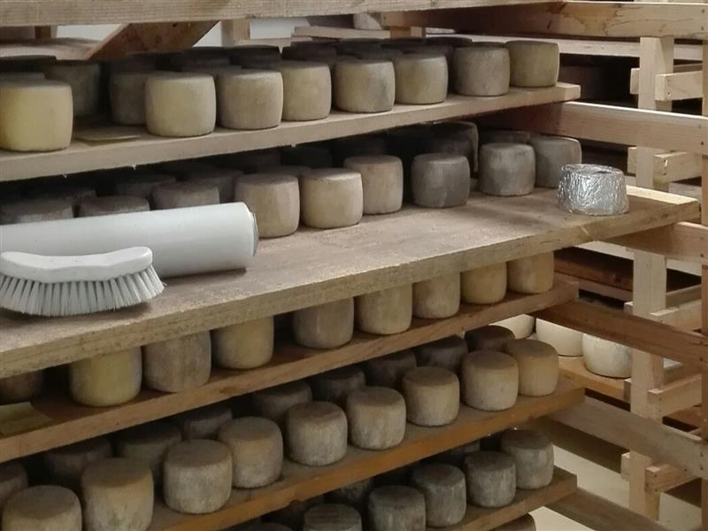 Gaec Etchamendy - Producteur de fromage