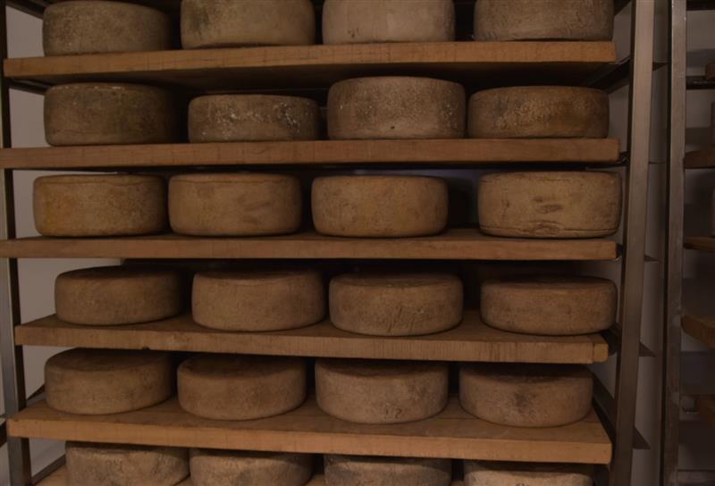 Producteur de fromage pur brebis - Famille Monaco
