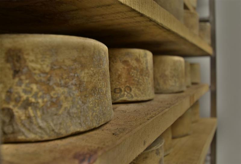 Producteur de fromage pur brebis - Famille Monaco