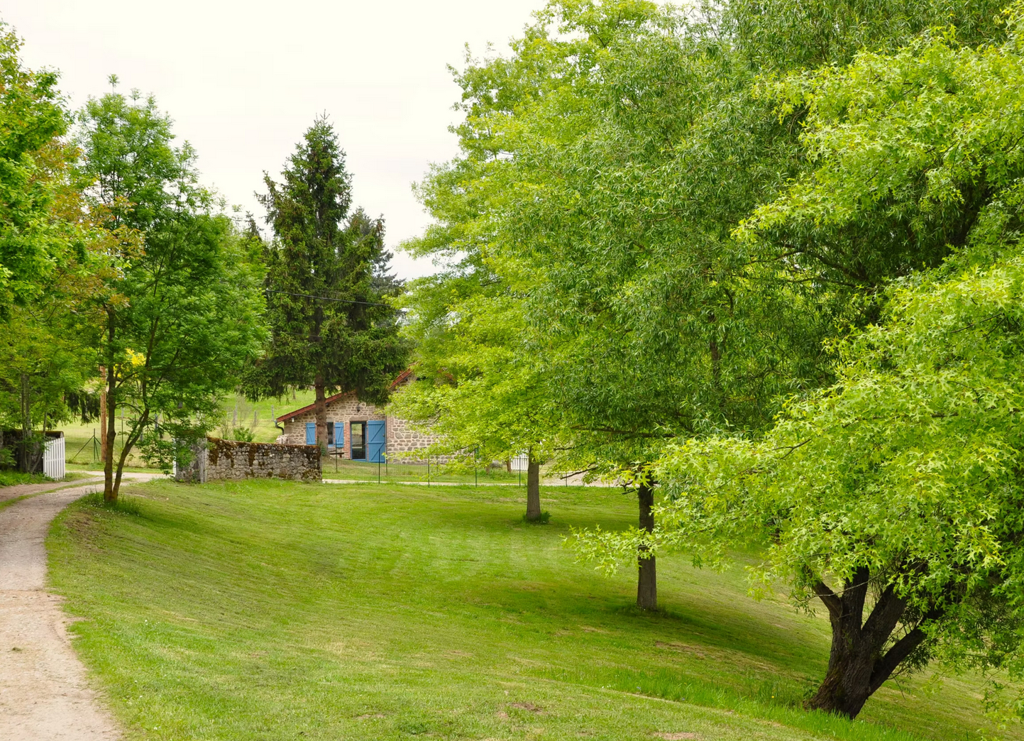 LA BUJADE, Peyrat-la-Nonière - photo 15