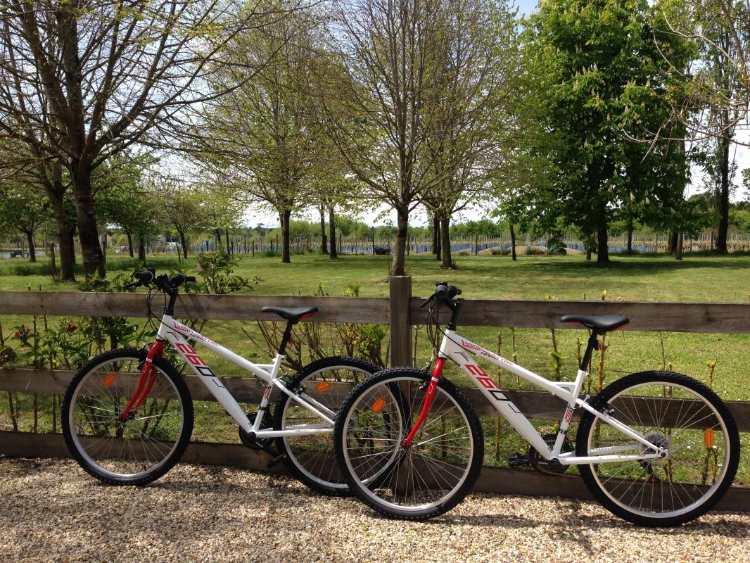 Gîte du Moulin de Varaillon, Queyrac - photo 8