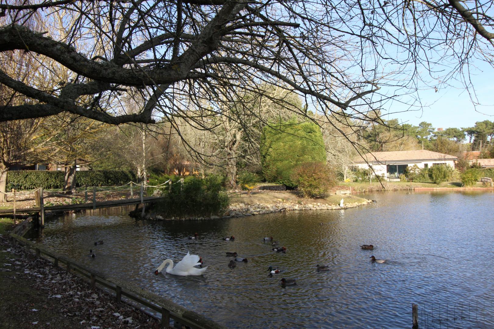 Madame Marie-Thérèse ANDRON, Le Verdon-sur-Mer - photo 8