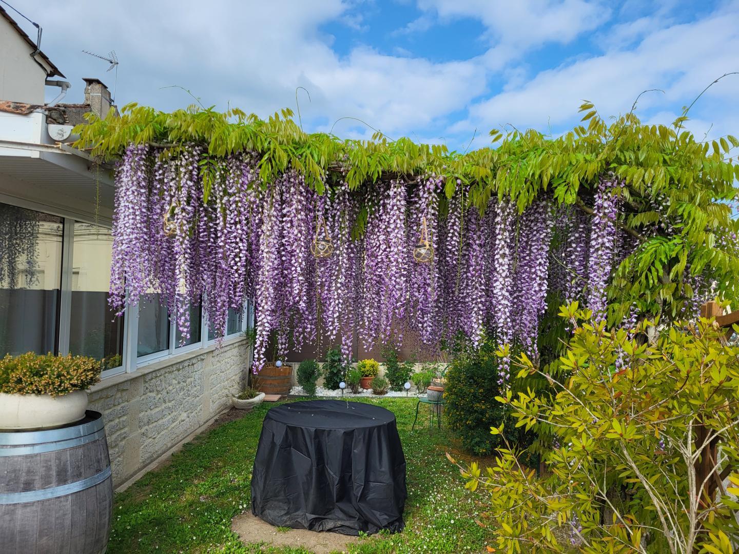 Lou Gaston, Castillon-la-Bataille - photo 16