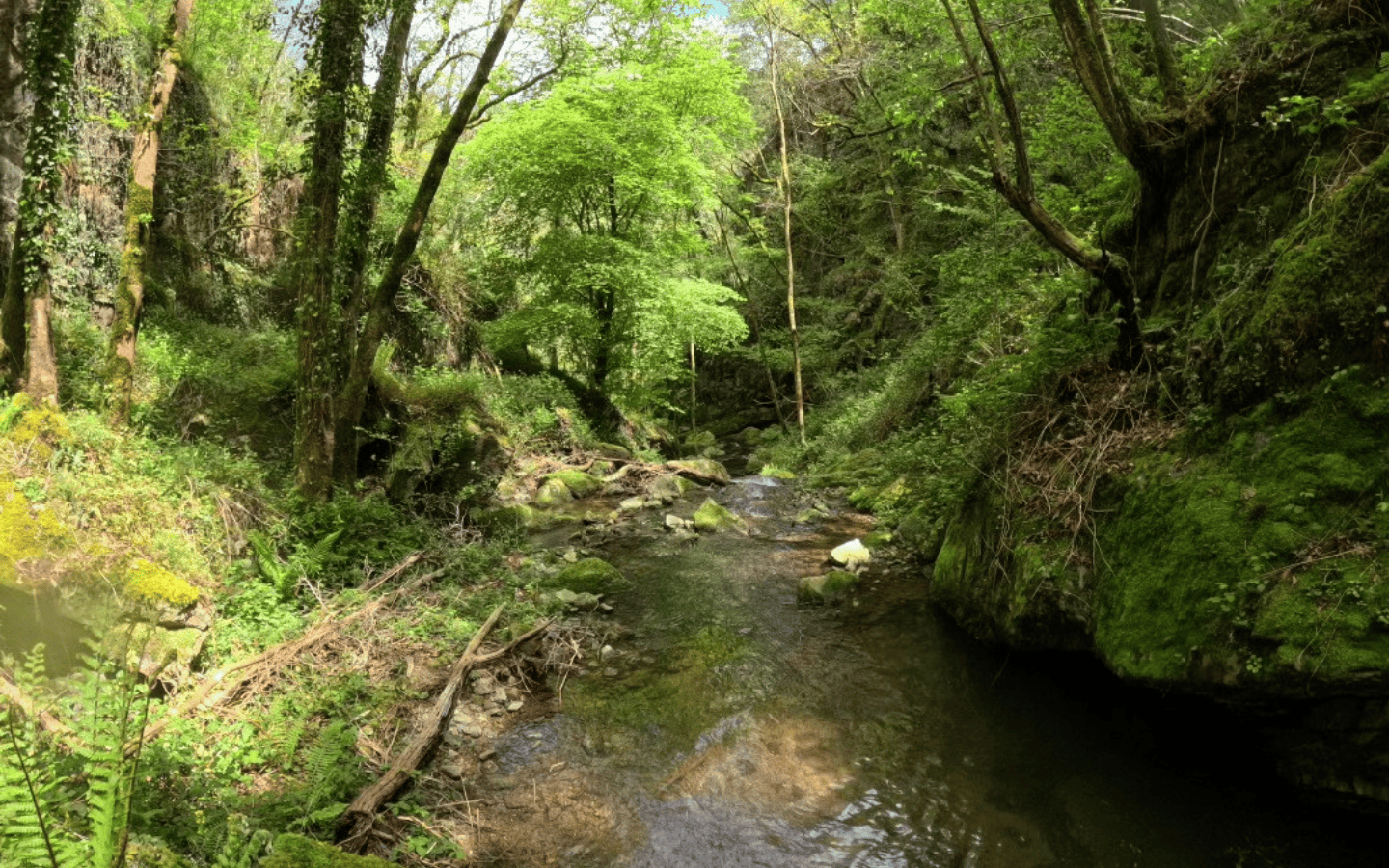 Canyon pour tous — photo 2