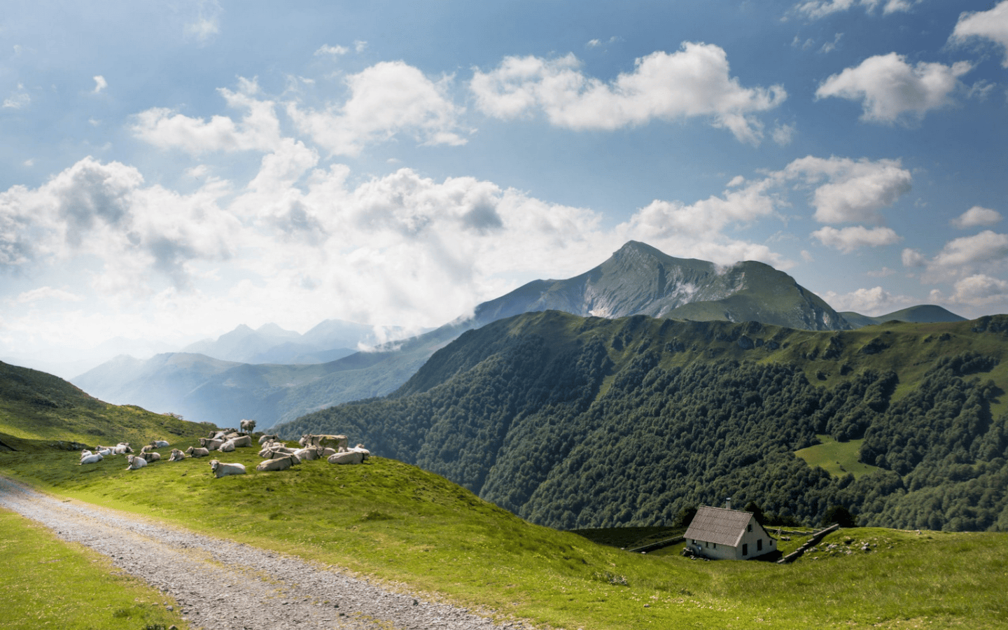 Forêt d'Iraty : panoramas époustouflants — Forêts & Parcs naturels à Pays Basque