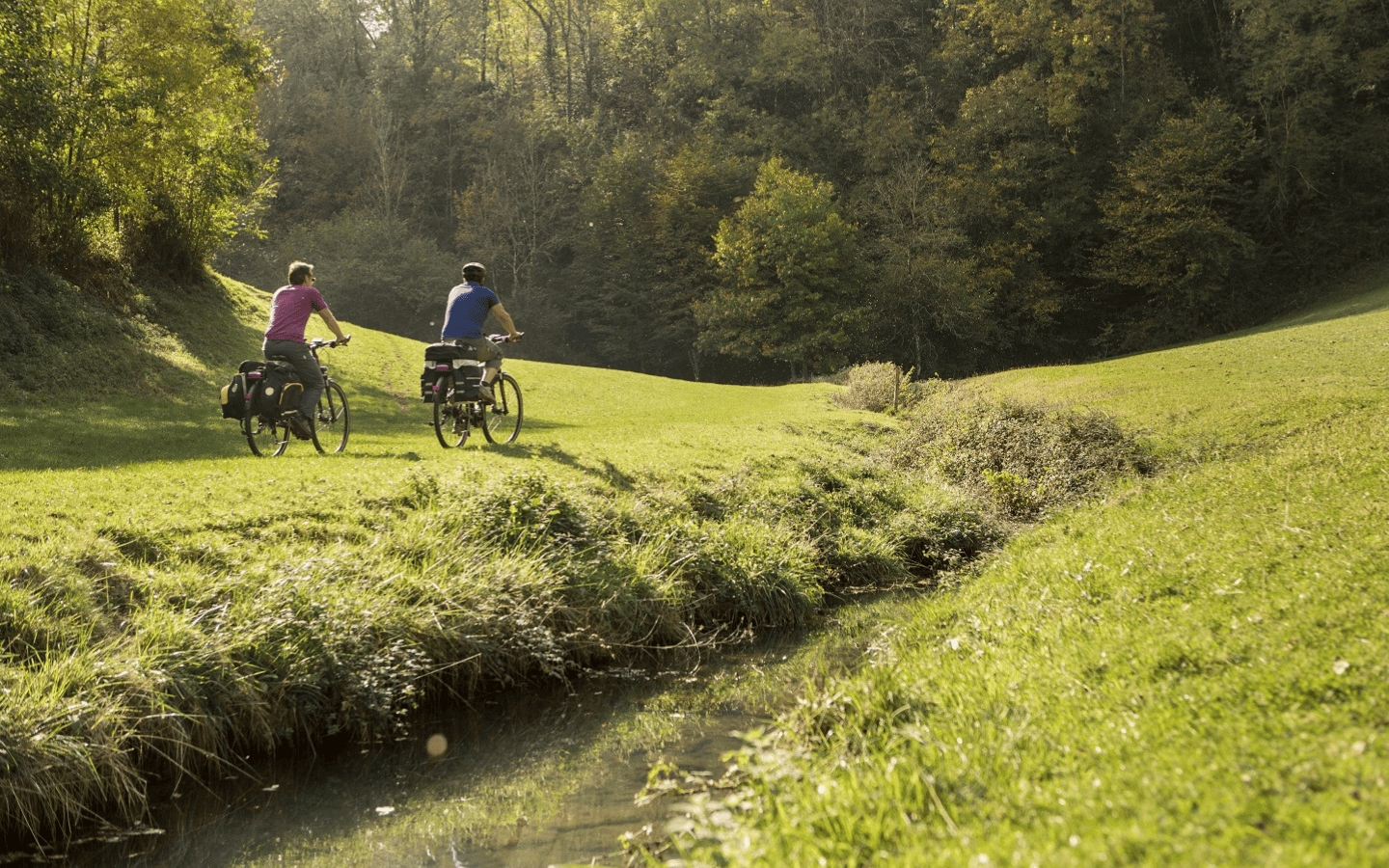 Location de VTT électriques - Tardets — photo 2
