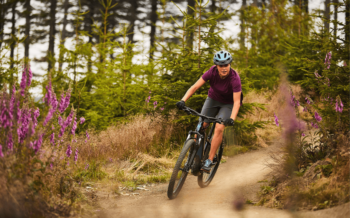 Lokabe, location de VTT