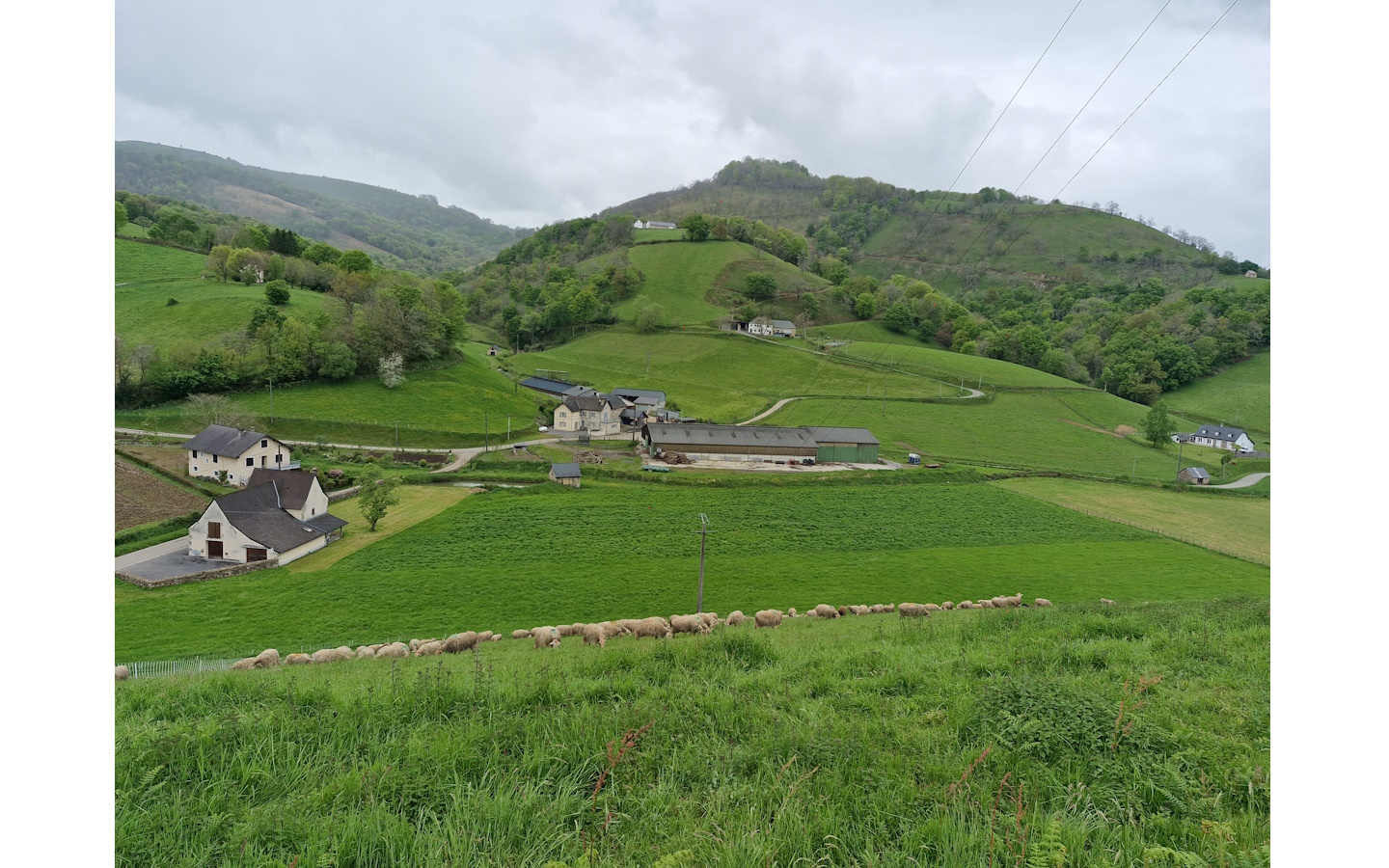 Visite de la ferme Burgubu, Roquiague
