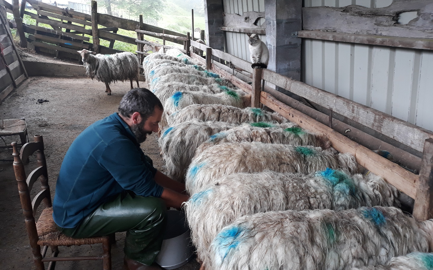 GAEC Clématite - photo 3