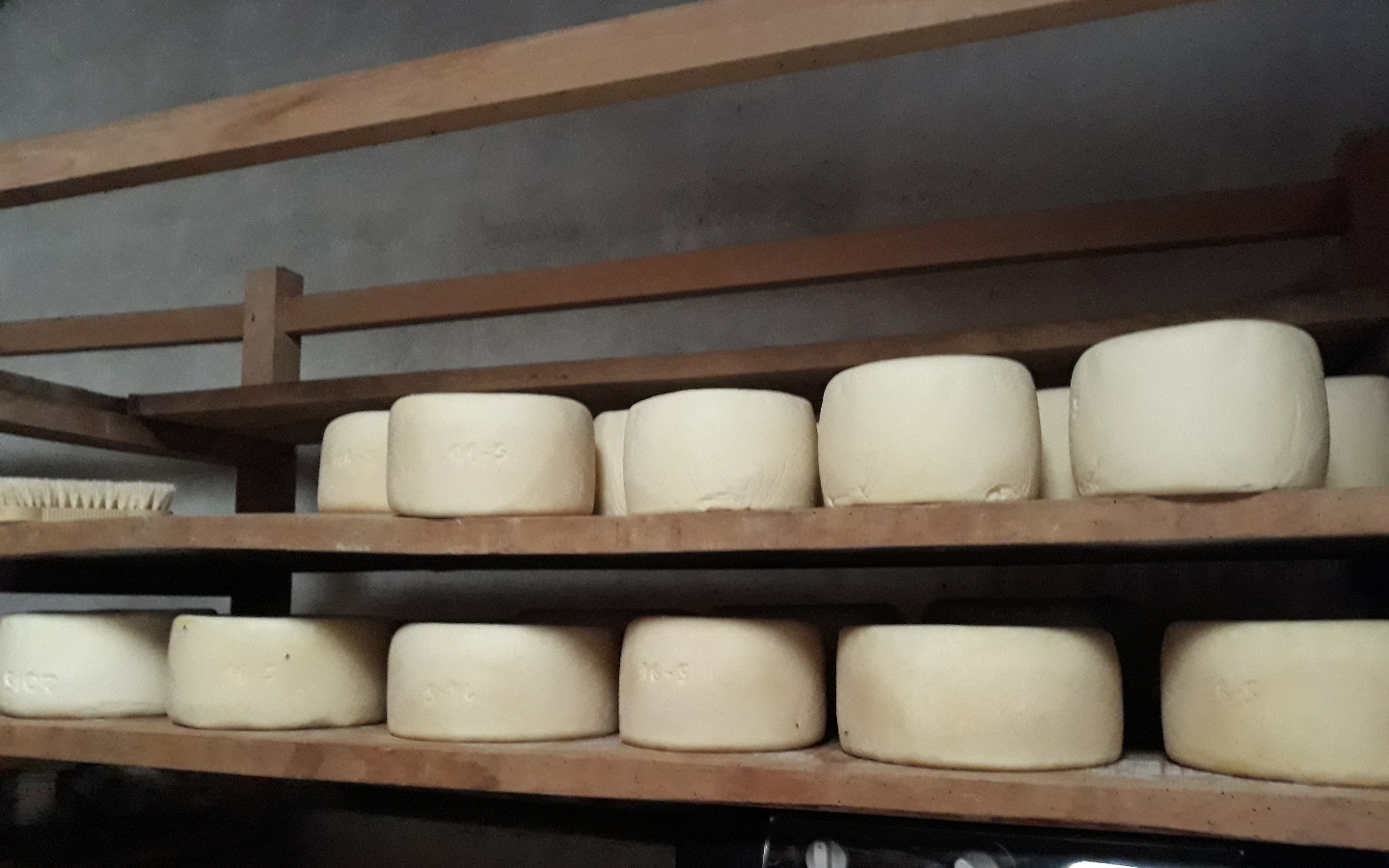 GAEC Clématite - photo 4