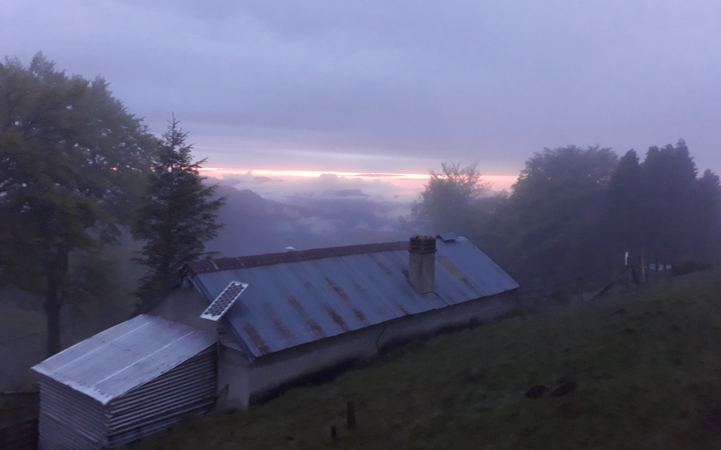 GAEC Clématite - photo 2