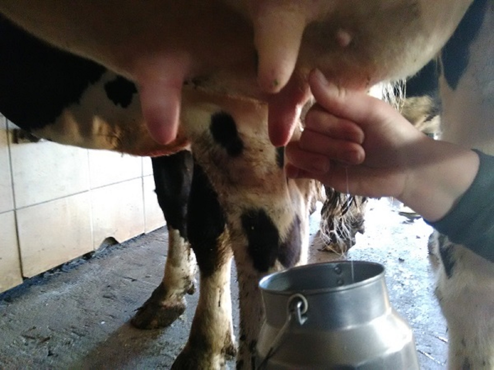 Ferme du Baren de la Matte — photo 2