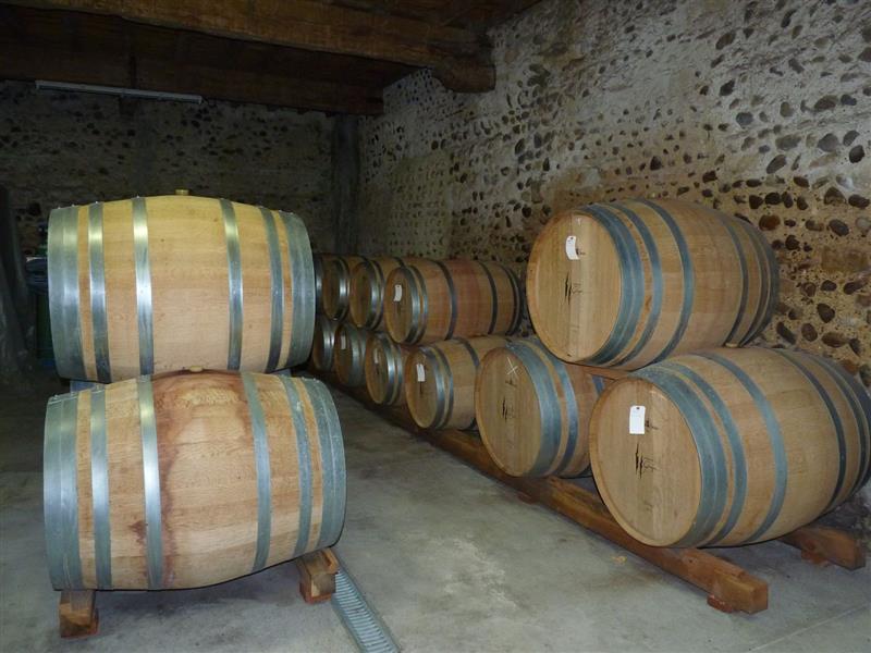 Château de Gayon