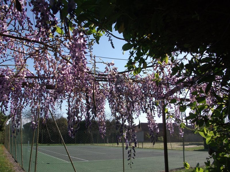 Gîte du domaine les Tourelles