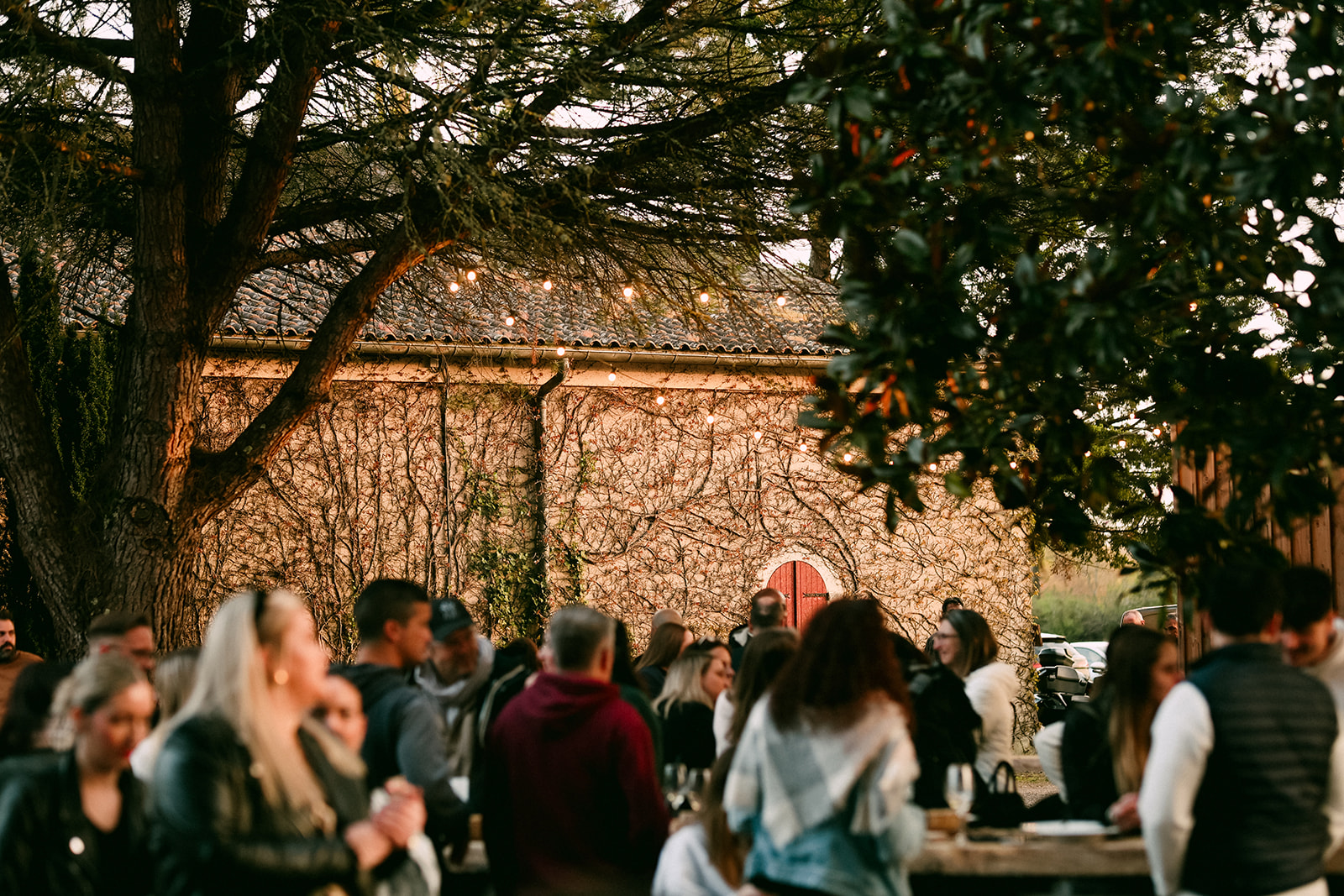 La Guinguette du Tuquet, Beautiran - photo 3