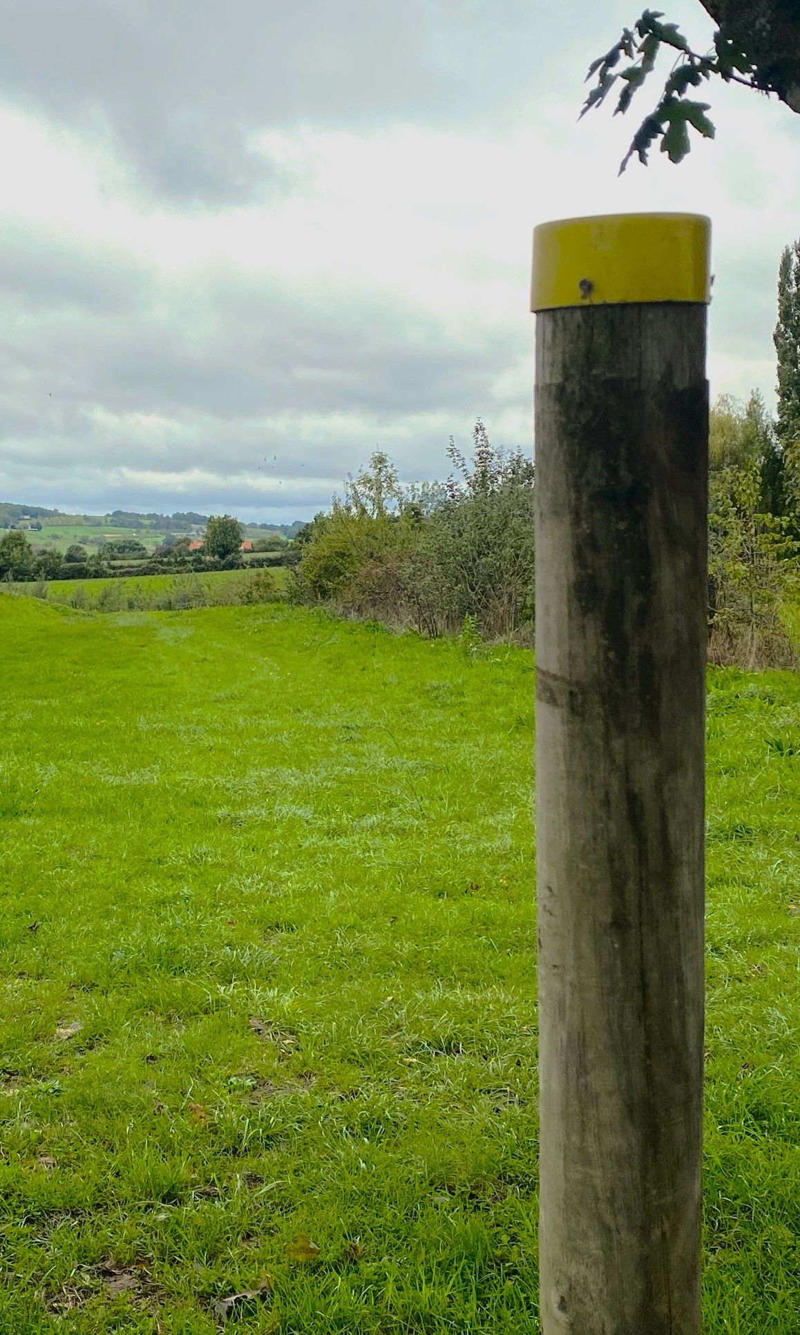 Boucle des Coteaux et des Gorges, Génis - photo 6