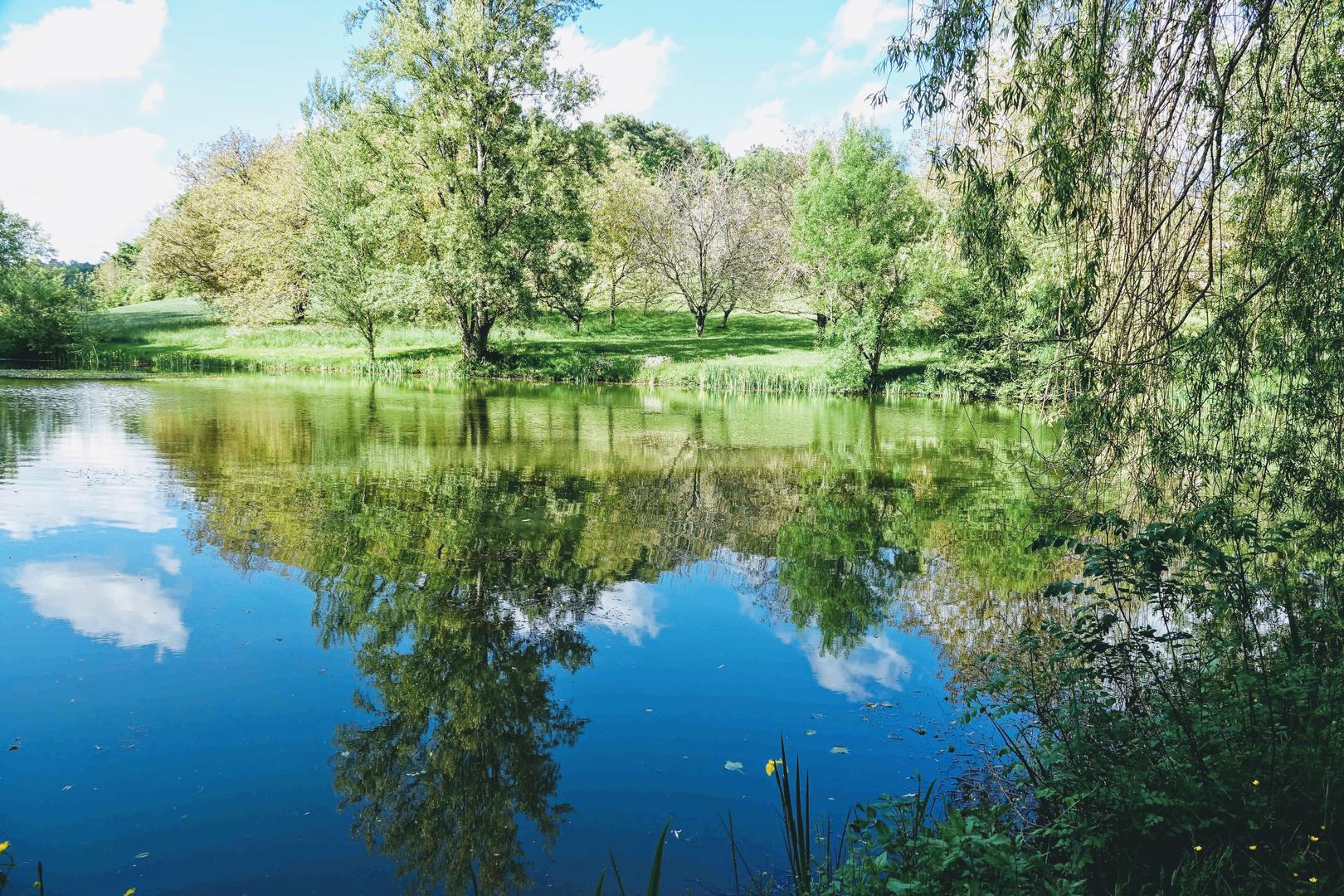 Petit Gîte de Terra Seren, Siorac-de-Ribérac - photo 12