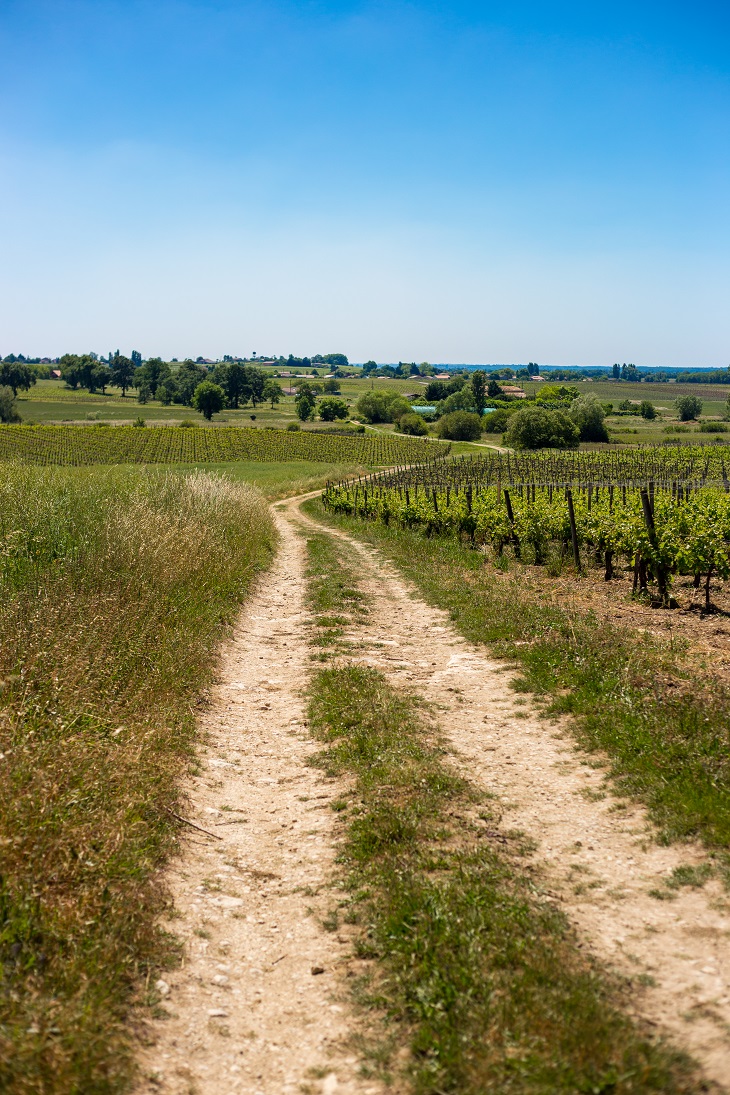 Randonnée en écomobilité entre Saint-André-de-Cubzac et Blaye sur le GR® 655, Saint-André-de-Cubzac - photo 5