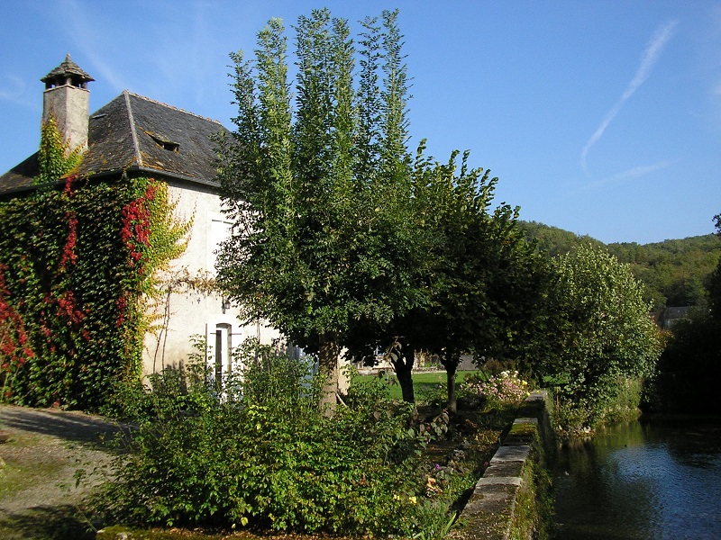 Madame Lucette Delmas - photo 2