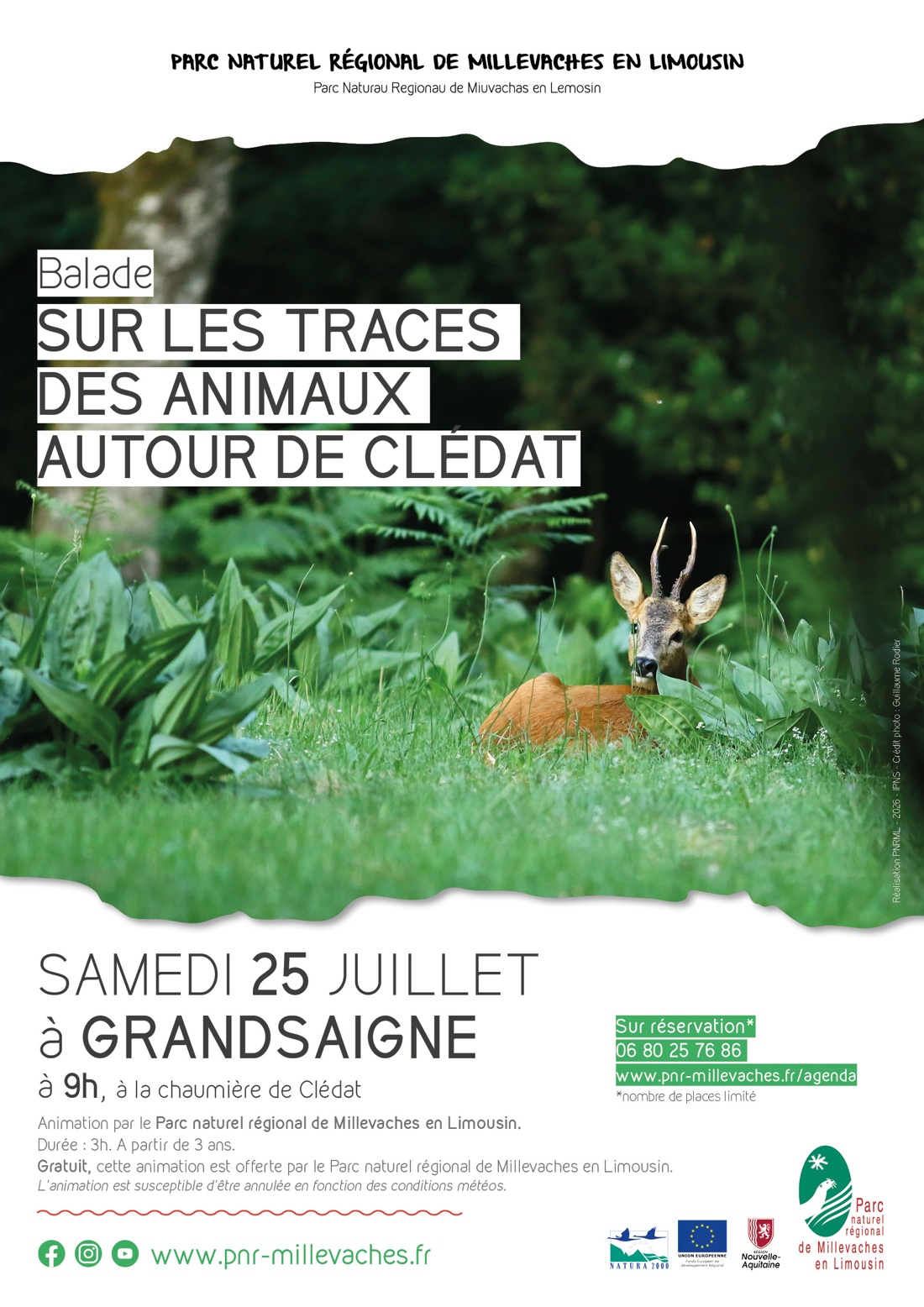 Les Pastorales de Clédat : Sur les traces des animaux autour de Clédat