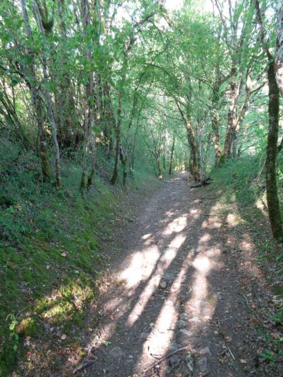 GRP Midi Corrézien - VTT — photo 2
