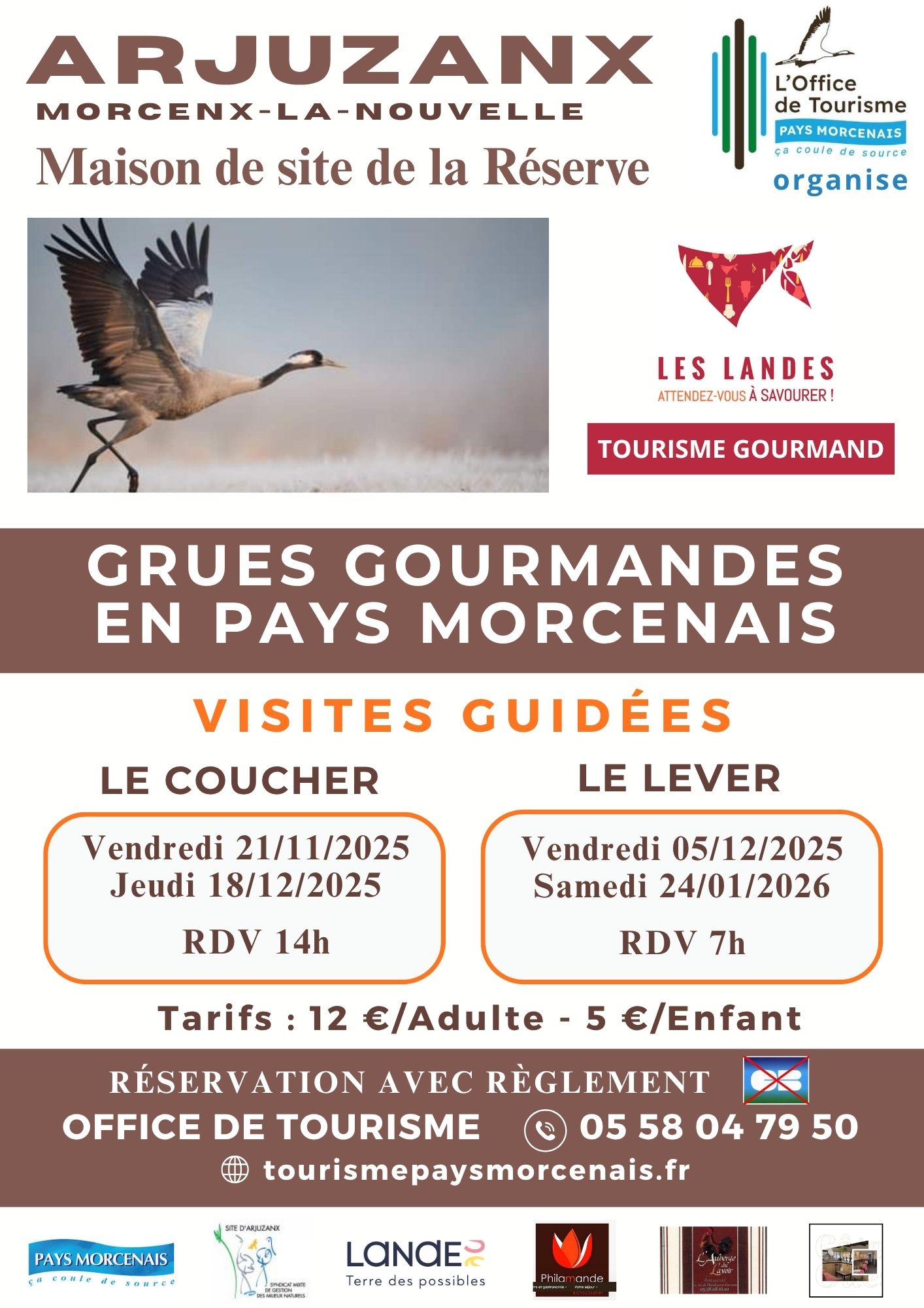 Les grues gourmandes en Pays Morcenais - Le coucher