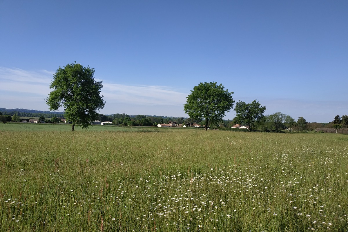 Gite du Chêne Vert, Montcaret - photo 10
