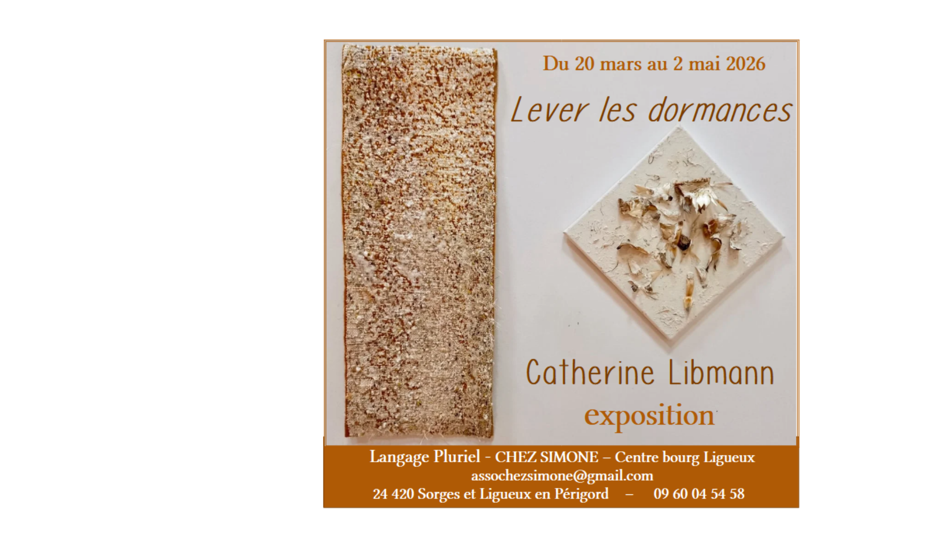 Exposition Catherine Libmann - Plasticienne de la fibre