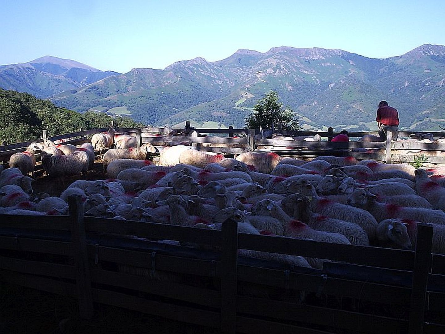 Visite de la ferme Tambourin